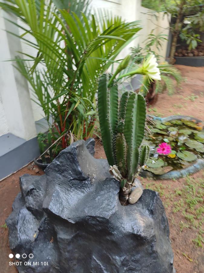 Vyshnavi Home Stay Thanniyam Luaran gambar